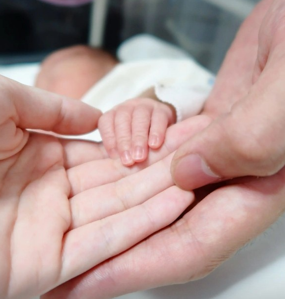 yg, src, 力福建男篮 yg, src, 力福建男篮