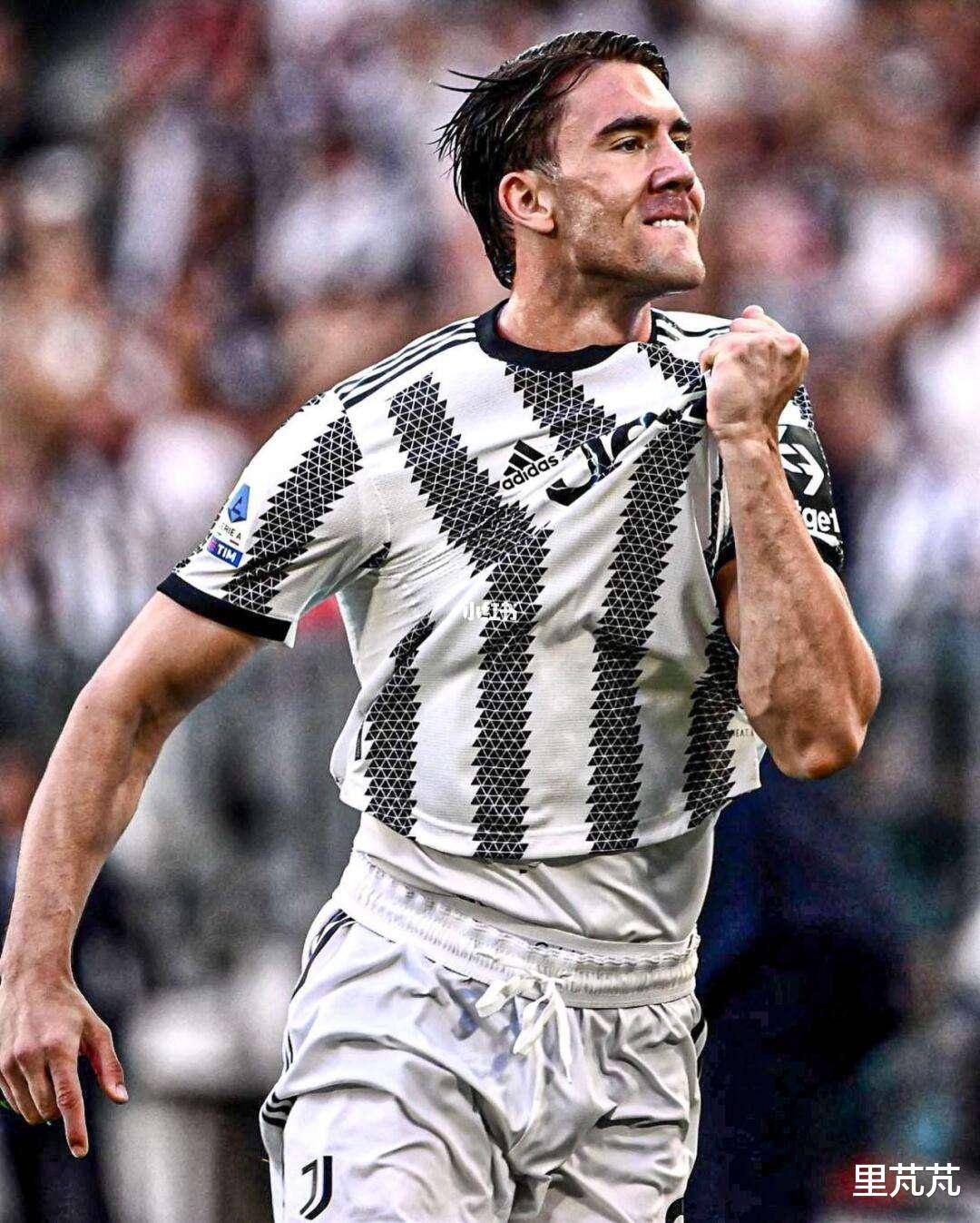 弗拉霍维奇 弗拉霍维奇